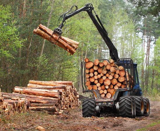 Hydraulics_WoodMobile Forestry yarder grabbing timber from pile in forest