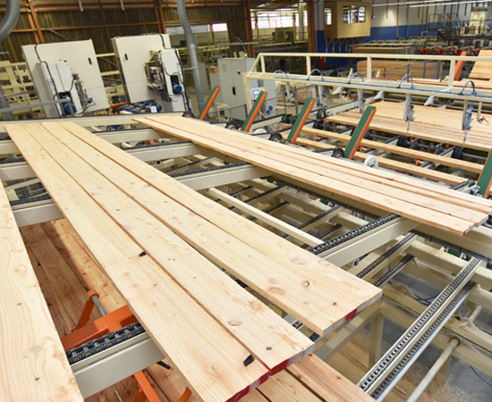 Hydraulics_WoodIndustrial wood planks on a convener belt at a saw mill